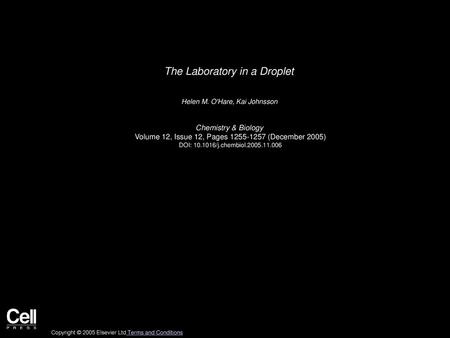 The Laboratory in a Droplet