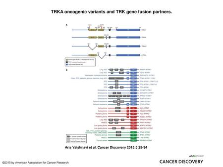 TRKA oncogenic variants and TRK gene fusion partners.