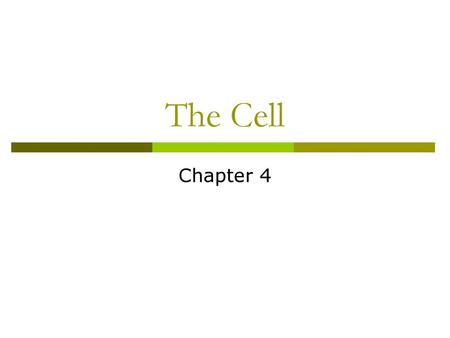 The Cell Chapter 4.
