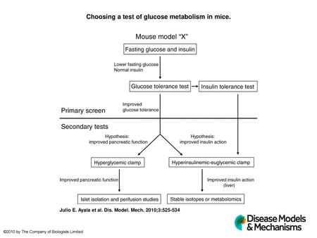 Choosing a test of glucose metabolism in mice.