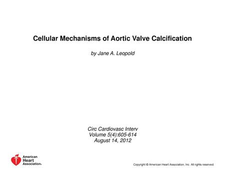 Cellular Mechanisms of Aortic Valve Calcification