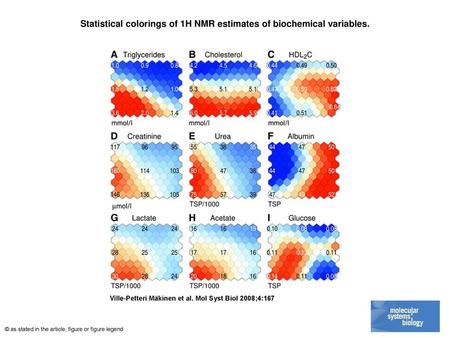 Statistical colorings of 1H NMR estimates of biochemical variables.