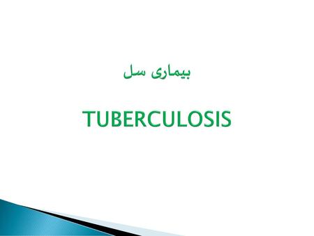 بیماری سل TUBERCULOSIS