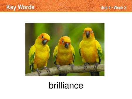 brilliance Key Words Unit 4 ● Week 2 TEACHER TALK