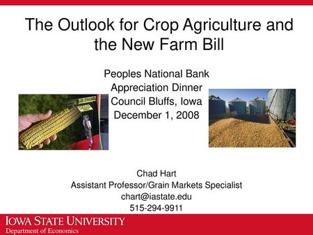 The Outlook for Crop Agriculture and the New Farm Bill