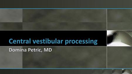 Central vestibular processing