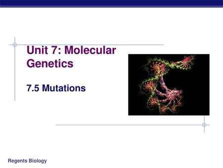 Unit 7: Molecular Genetics