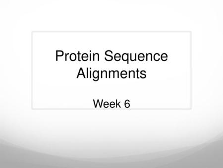 Protein Sequence Alignments