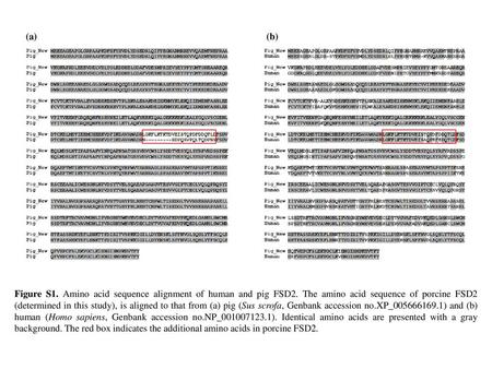 (a) (b) Figure S1. Amino acid sequence alignment of human and pig FSD2. The amino acid sequence of porcine FSD2 (determined in this study), is aligned.