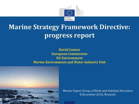 Marine Strategy Framework Directive: progress report