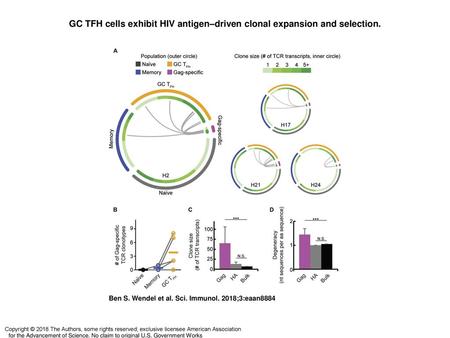 GC TFH cells exhibit HIV antigen–driven clonal expansion and selection