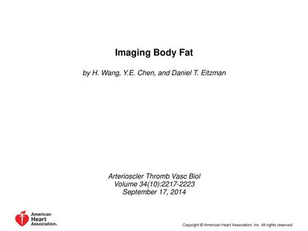 Imaging Body Fat by H. Wang, Y.E. Chen, and Daniel T. Eitzman