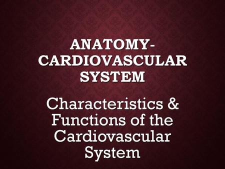 Anatomy-Cardiovascular System