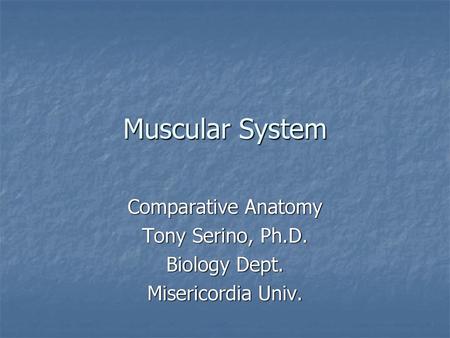 Muscular System Comparative Anatomy Tony Serino, Ph.D. Biology Dept.