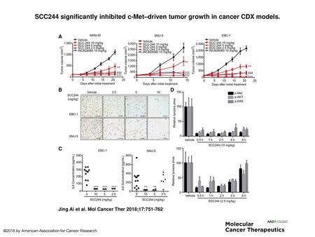 SCC244 significantly inhibited c-Met–driven tumor growth in cancer CDX models. SCC244 significantly inhibited c-Met–driven tumor growth in cancer CDX models.