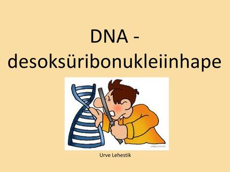 DNA - desoksüribonukleiinhape