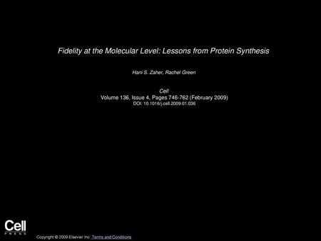 Fidelity at the Molecular Level: Lessons from Protein Synthesis