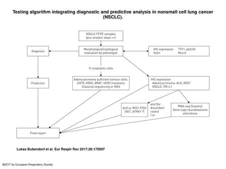 Testing algorithm integrating diagnostic and predictive analysis in nonsmall cell lung cancer (NSCLC). Testing algorithm integrating diagnostic and predictive.