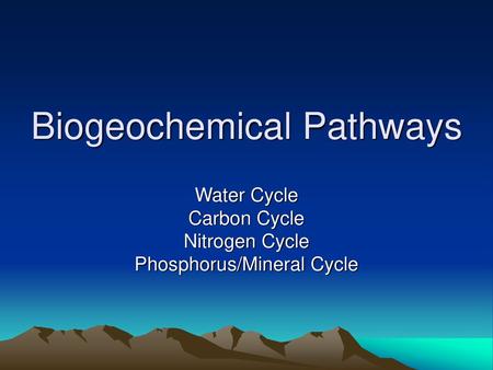 Biogeochemical Pathways