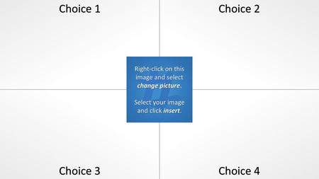 Choice 1 Choice 2 Choice 3 Choice 4