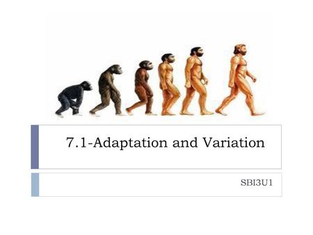 7.1-Adaptation and Variation