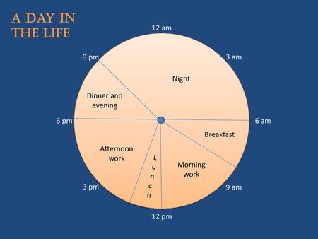 A Day in the life 12 am 9 pm 3 am Night Dinner and evening 6 pm 6 am