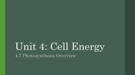 4.7 Photosynthesis Overview