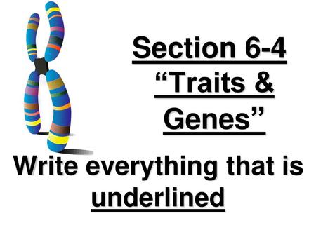 Section 6-4 “Traits & Genes”
