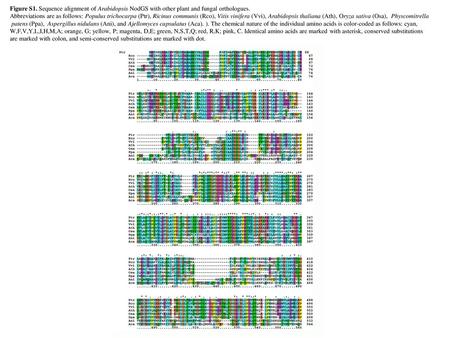 Figure S1. Sequence alignment of Arabidopsis NodGS with other plant and fungal orthologues. Abbreviations are as follows: Populus trichocarpa (Ptr), Ricinus.