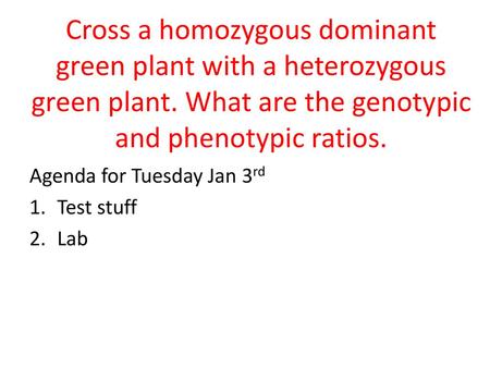 Cross a homozygous dominant green plant with a heterozygous green plant. What are the genotypic and phenotypic ratios. Agenda for Tuesday Jan 3rd Test.