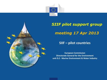 SIIF pilot support group meeting 17 Apr 2013