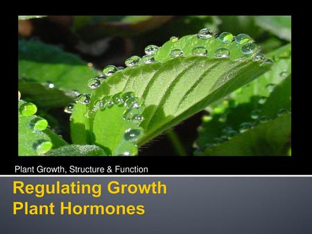 Regulating Growth Plant Hormones