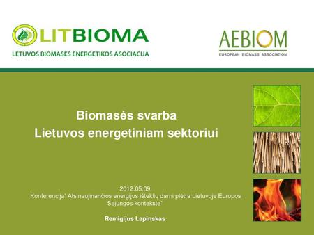 Biomasės svarba Lietuvos energetiniam sektoriui