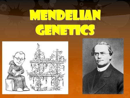 Mendelian Genetics.