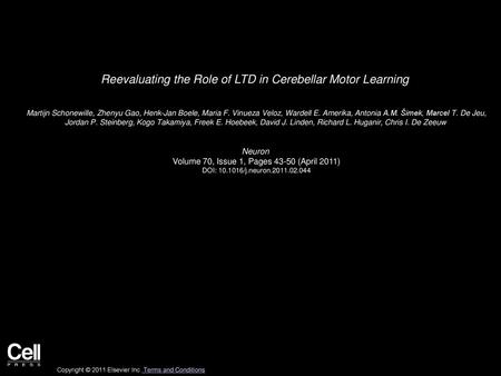 Reevaluating the Role of LTD in Cerebellar Motor Learning