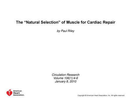 The “Natural Selection” of Muscle for Cardiac Repair