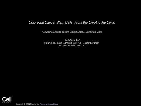 Colorectal Cancer Stem Cells: From the Crypt to the Clinic