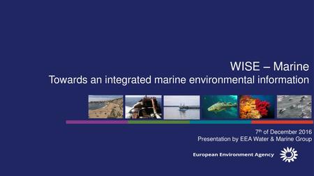 WISE – Marine Towards an integrated marine environmental information