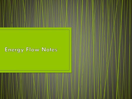 Energy Flow Notes.