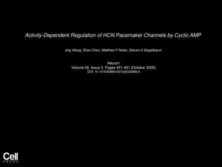 Activity-Dependent Regulation of HCN Pacemaker Channels by Cyclic AMP