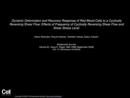 Dynamic Deformation and Recovery Response of Red Blood Cells to a Cyclically Reversing Shear Flow: Effects of Frequency of Cyclically Reversing Shear.