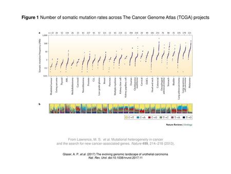 Figure 1 Number of somatic mutation rates across The Cancer Genome Atlas (TCGA) projects Figure 1 | Number of somatic mutation rates across The Cancer.
