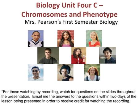 Biology Unit Four C – Chromosomes and Phenotype
