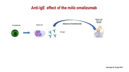 Anti-IgE effect of the mAb omalizumab