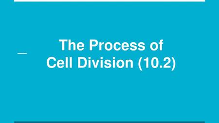 The Process of Cell Division (10.2)
