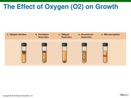 The Effect of Oxygen (O2) on Growth
