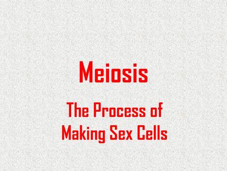 The Process of Making Sex Cells