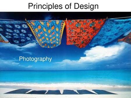 Principles of Design Photography.
