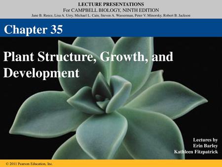 Plant Structure, Growth, and Development