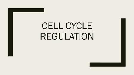 Cell Cycle Regulation.